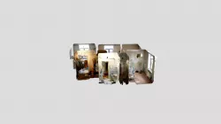olegan_240221