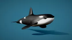 orca