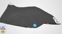 Ottertail Formation