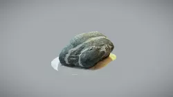 Photogrammetry into low poly model