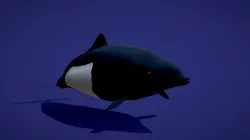porpoise