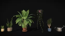 Sample Assets: Plants