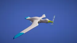 seagull.