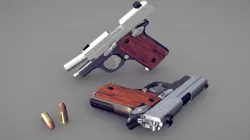 SIG P238