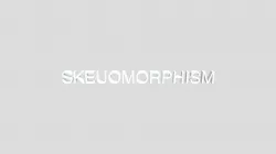 SKEUOMORPHISM