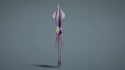 Squid.