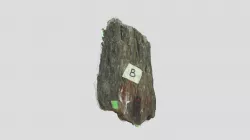 Tectonite Sample B