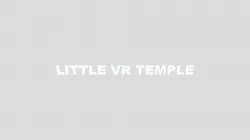 VR