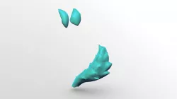 Werewolf Ears, Tail, And Model Skin