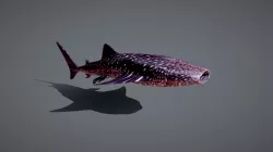 Whale shark.