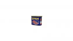 1950s-spam