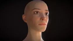 Bald Girl Head [PBR]