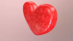 Coeur (test)
