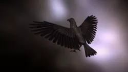 Crow