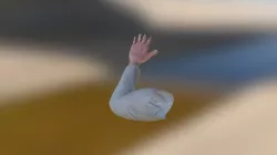 Hands