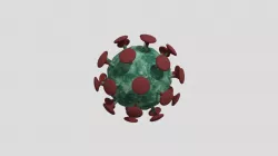 Integrated Project Virus Model
