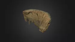 Mammoth Tooth