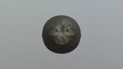 Monkey head 1