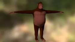 Orangutan Model