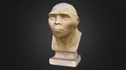 Peking Man