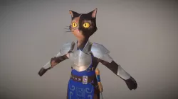 Pyksell, the cat warrior