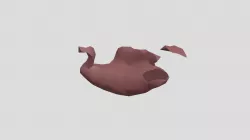 space duck