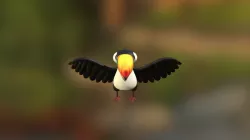 Tuki