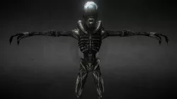 Xenomorph