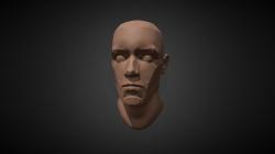 fur head base 3d models 【 STLFinder