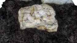 Beach rock