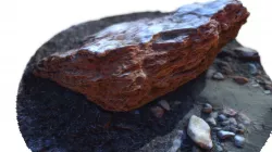 Beach Stone
