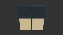 Black Shorts