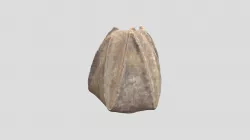Blastoid