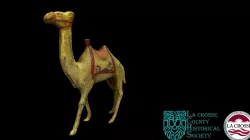 Camel Bank