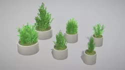 Concrete Pipe Pots with Bushes 1