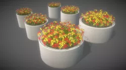 Concrete Pipe Pots with Red Yellow Mixed Flowers