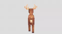 Deer
