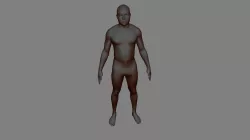 Example 3D Body Model - Body Fat