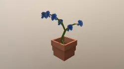flower_pot_orchid