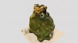 Froggy bank_Scandy Pro(Edited)