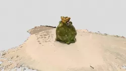 Froggy bank_Scandy Pro(Raw)