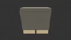 Gray Pants