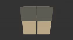 Gray Shorts
