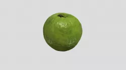 Guava