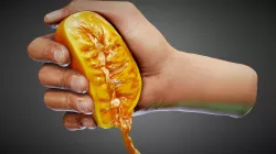 Hand anatomical study - squeeze -