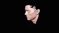 Human Face