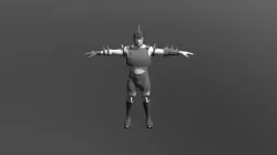 Human Model Sample