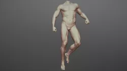 Male Full Body Sculpt Pose 4