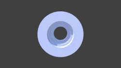 OIL SEALS