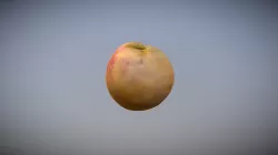 Peach